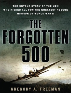 Cover Art:  The Forgotten 500